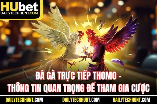 Đá Gà Trực Tiếp Thomo Thông Tin Quan Trọng Để Tham Gia Cược