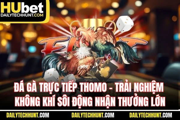 Đá gà trực tiếp Thomo Trải nghiệm không khí sôi động nhận thưởng lớn Đá gà trực tiếp Thomo Trải nghiệm không khí sôi động nhận thưởng lớn