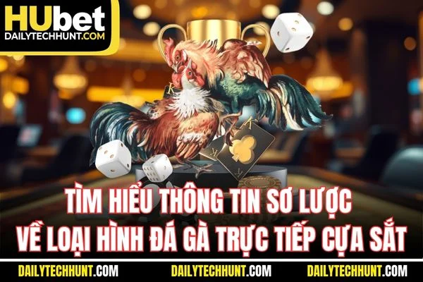 Tìm hiểu thông tin sơ lược về loại hình đá gà trực tiếp cựa sắt Tìm hiểu thông tin sơ lược về loại hình đá gà trực tiếp cựa sắt