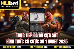 Trực Tiếp Đá Gà Cựa Sắt Hình Thức Cá Cược Số 1 HUBET 2025