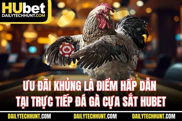 Ưu đãi khủng là điểm hấp dẫn tại trực tiếp đá gà cựa sắt HUBET Ưu đãi khủng là điểm hấp dẫn tại trực tiếp đá gà cựa sắt HUBET